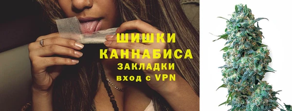 мдпв Новодвинск