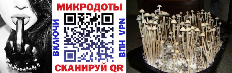 Псилоцибиновые грибы Psilocybe  купить   Горячеводский 