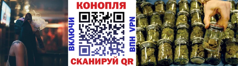Каннабис сатива  Горячеводский 